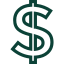 Dollar Icon